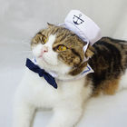Gatos ajustados da marinha que vestem elegante Loveable da roupa algum logotipo disponível fornecedor