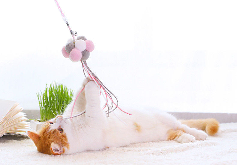 Vara engraçada do gato da bola de cabelo de três cores, tamanho interativo do brinquedo do animal de estimação personalizado fornecedor
