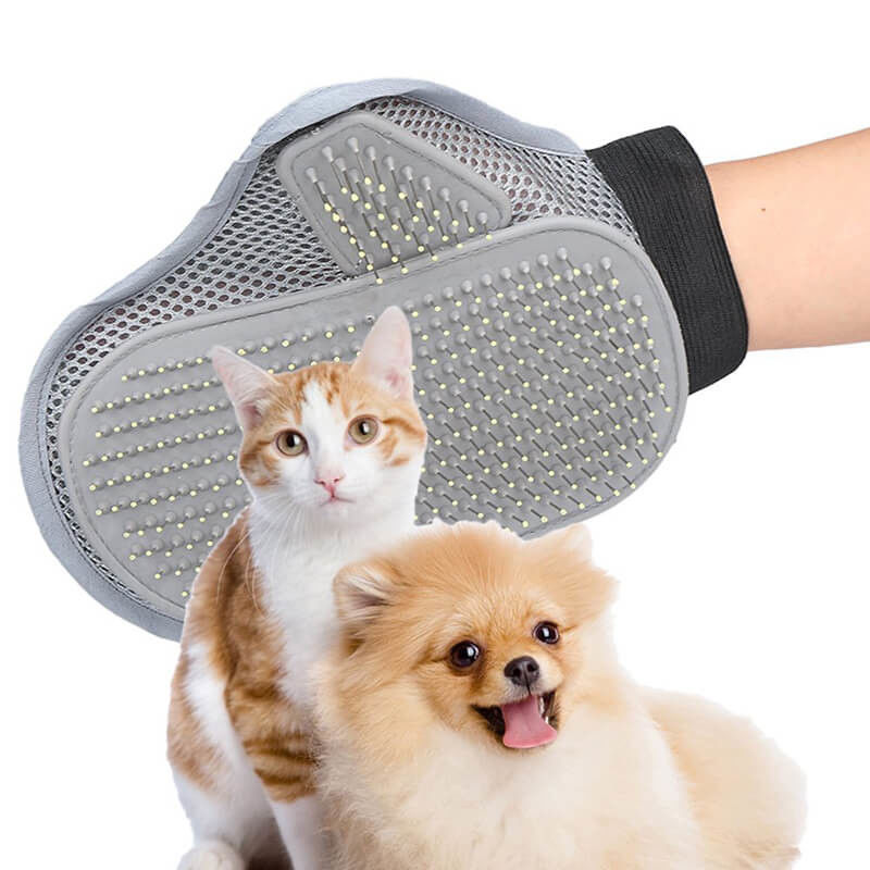Escova confortável do Pin do pente do gato do cão da luva do animal de estimação para médio/por muito tempo o cabelo fornecedor