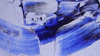 Logotipo personalizado de coleira de flor fofa para animais de estimação