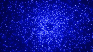 Brinquedos divertidos modernos para cama arranhadora de gatos