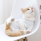 Gatos do estilo ocasional que vestem a roupa azul/elegante confortável listra branca fornecedor