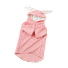 O gato bonito bonito da orelha de coelho veste-se, roupa engraçada do gato cor-de-rosa/cor cinzenta fornecedor