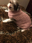Forme a tamanho personalizado roupa do animal de estimação a roupa bonito do cão para o outono/inverno fornecedor