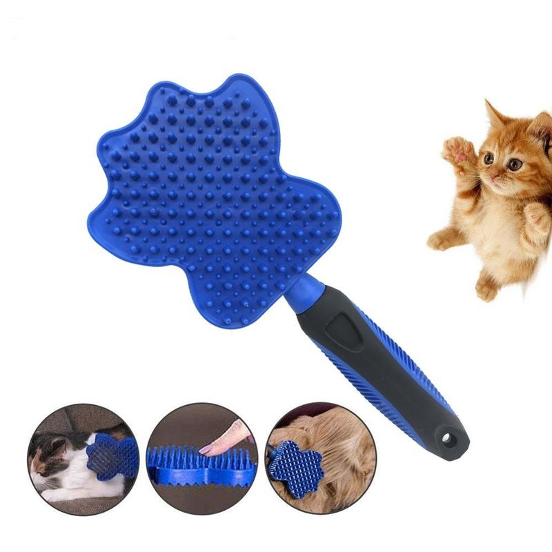 Forma especial azul TPR/PP do peso 167g da escova de cabelo do animal de estimação da cor materiais fornecedor