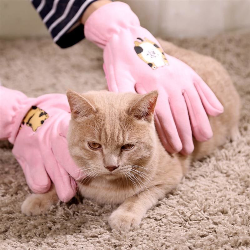 Luva profissional cor-de-rosa da limpeza do banho das luvas da preparação do animal de estimação para o gato/cão fornecedor